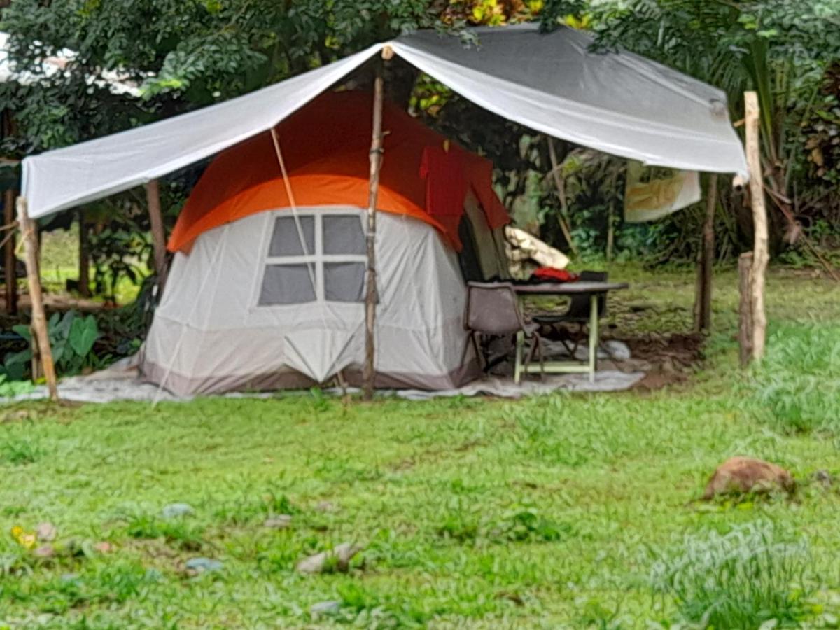3 Rivers Eco Lodge Rosalie Экстерьер фото