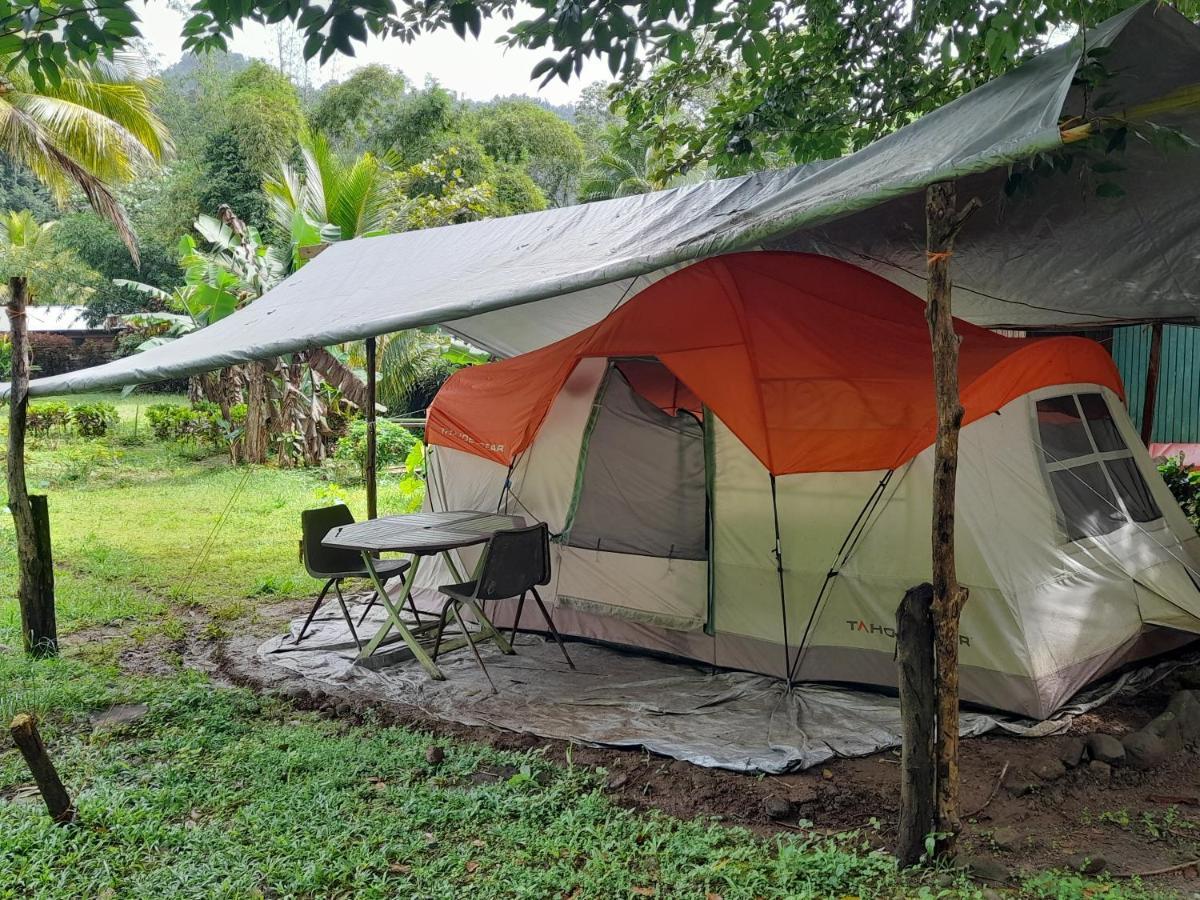 3 Rivers Eco Lodge Rosalie Экстерьер фото