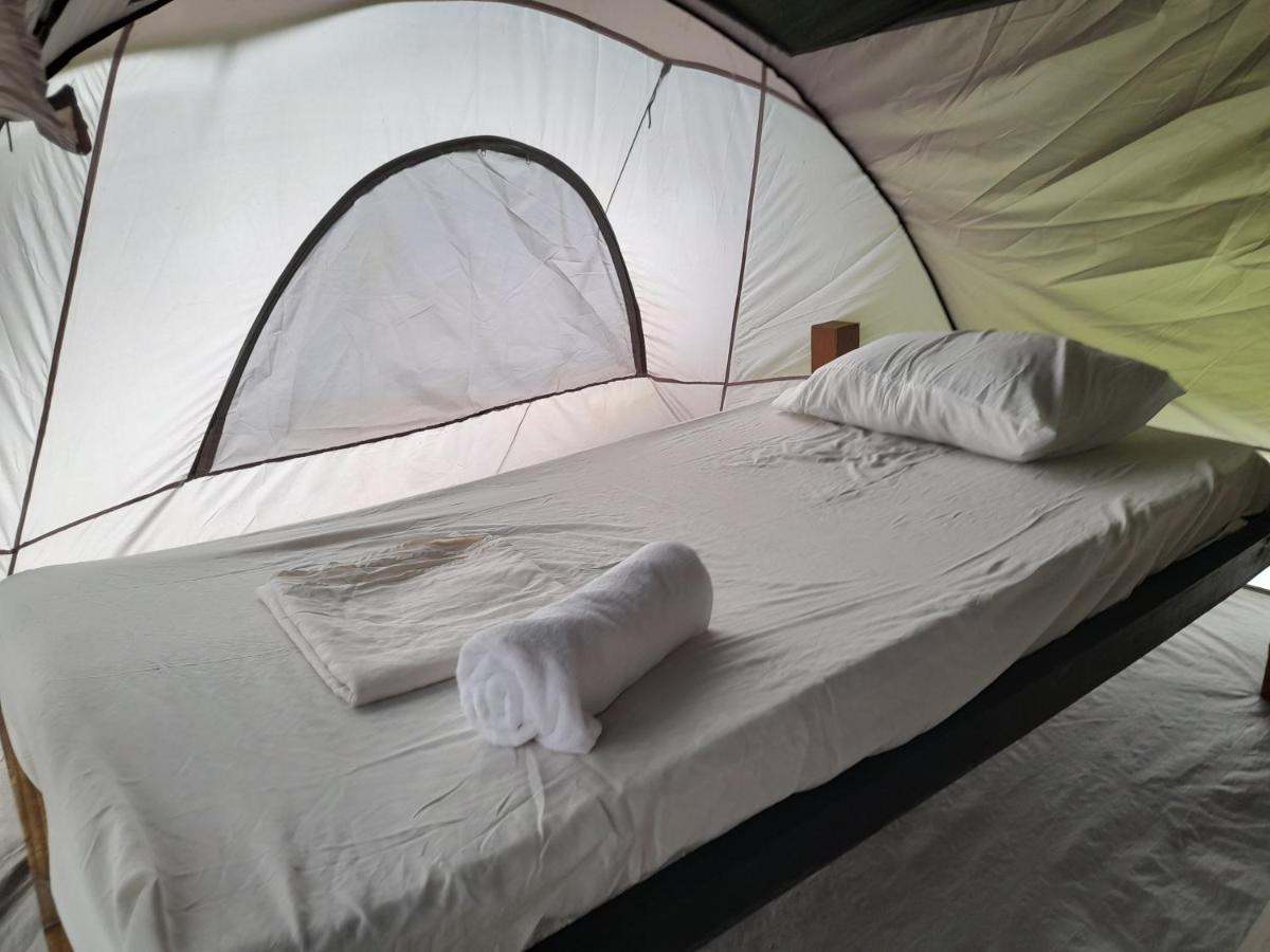 3 Rivers Eco Lodge Rosalie Экстерьер фото