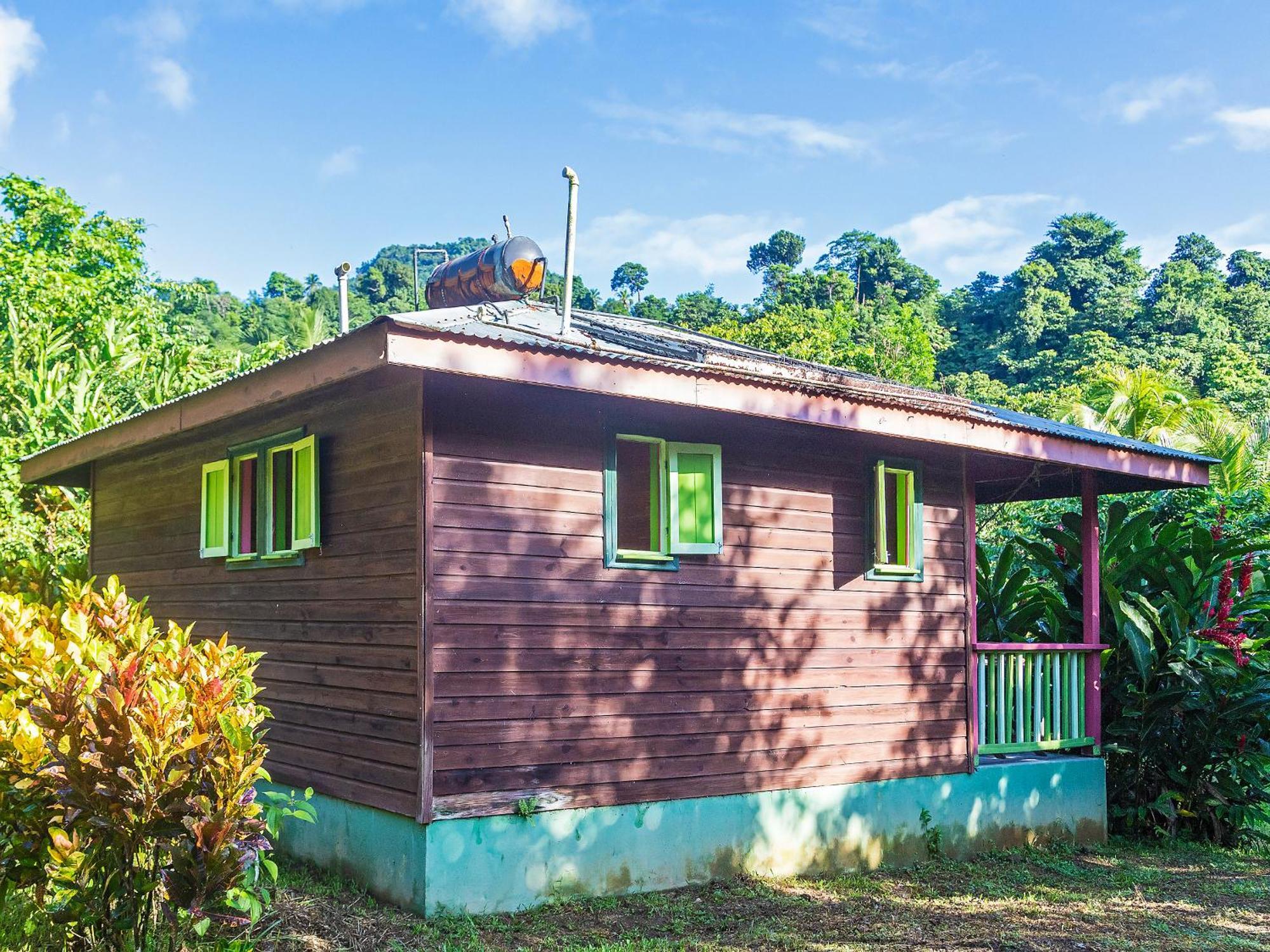 3 Rivers Eco Lodge Rosalie Экстерьер фото