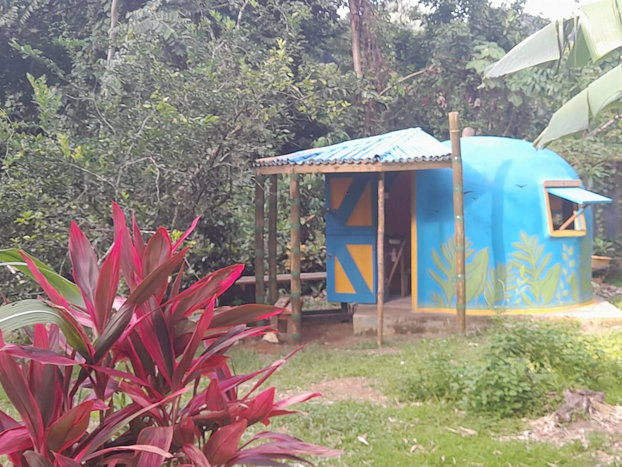 3 Rivers Eco Lodge Rosalie Экстерьер фото