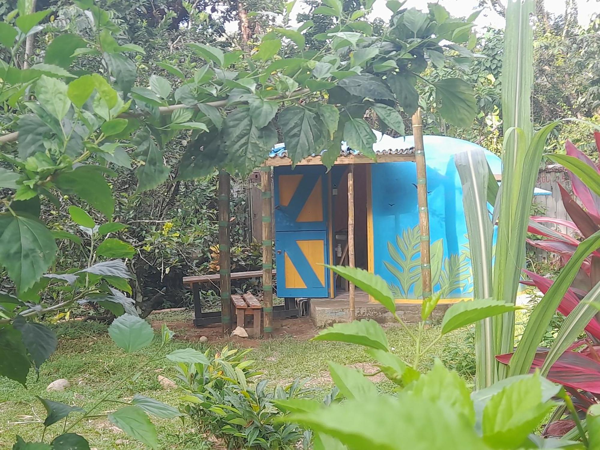 3 Rivers Eco Lodge Rosalie Экстерьер фото