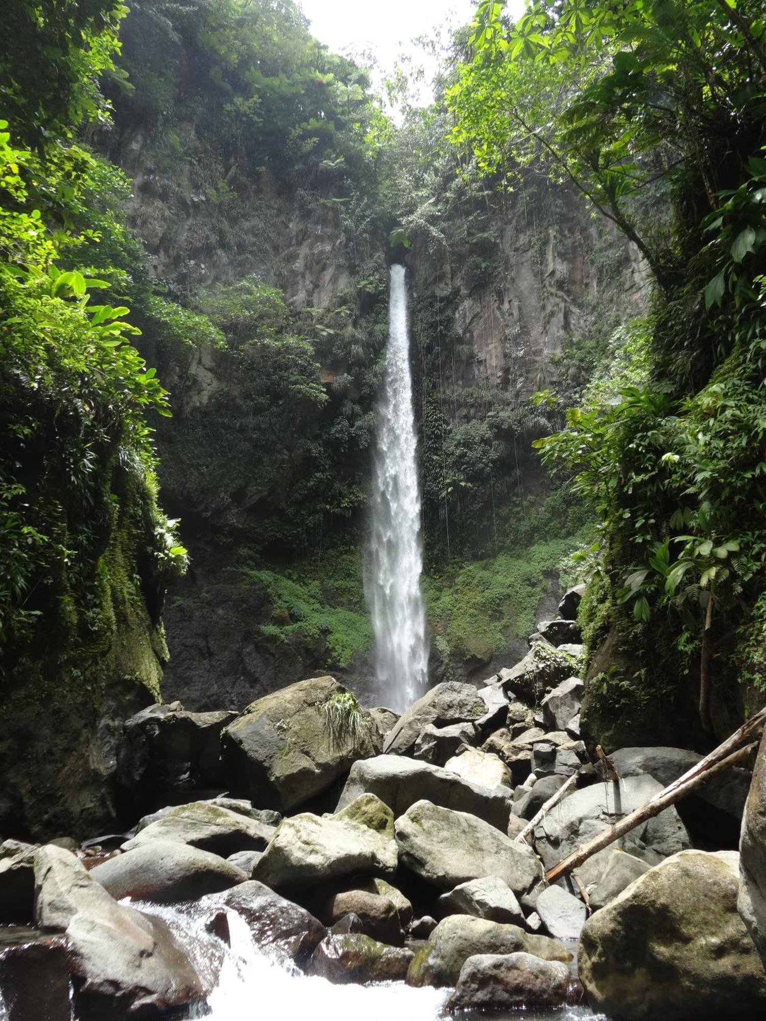 3 Rivers Eco Lodge Rosalie Экстерьер фото
