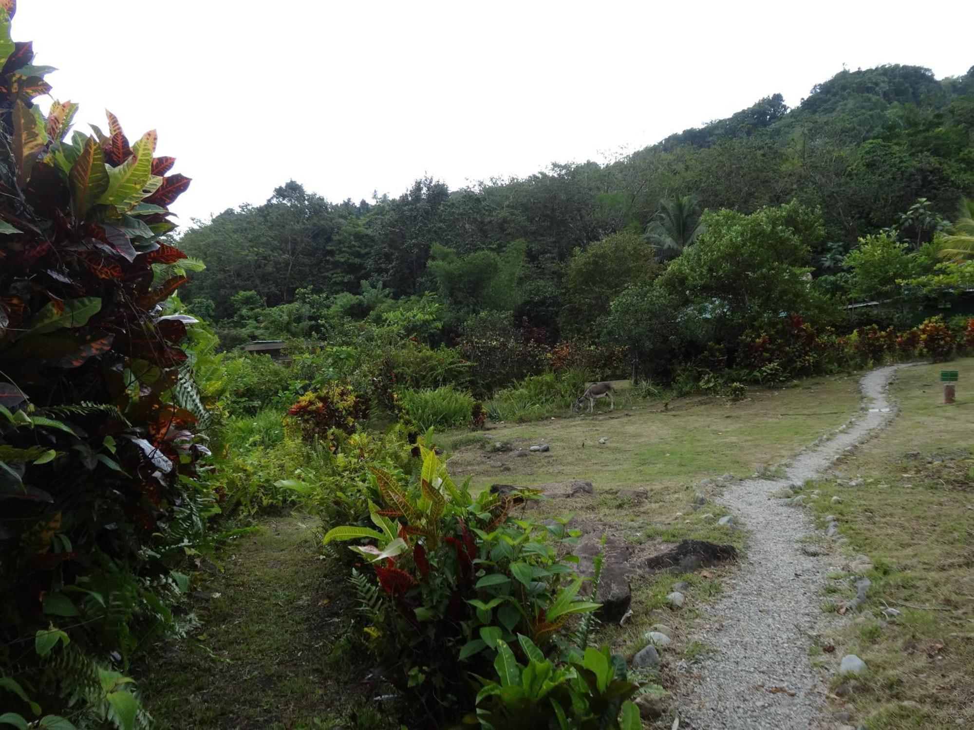 3 Rivers Eco Lodge Rosalie Экстерьер фото