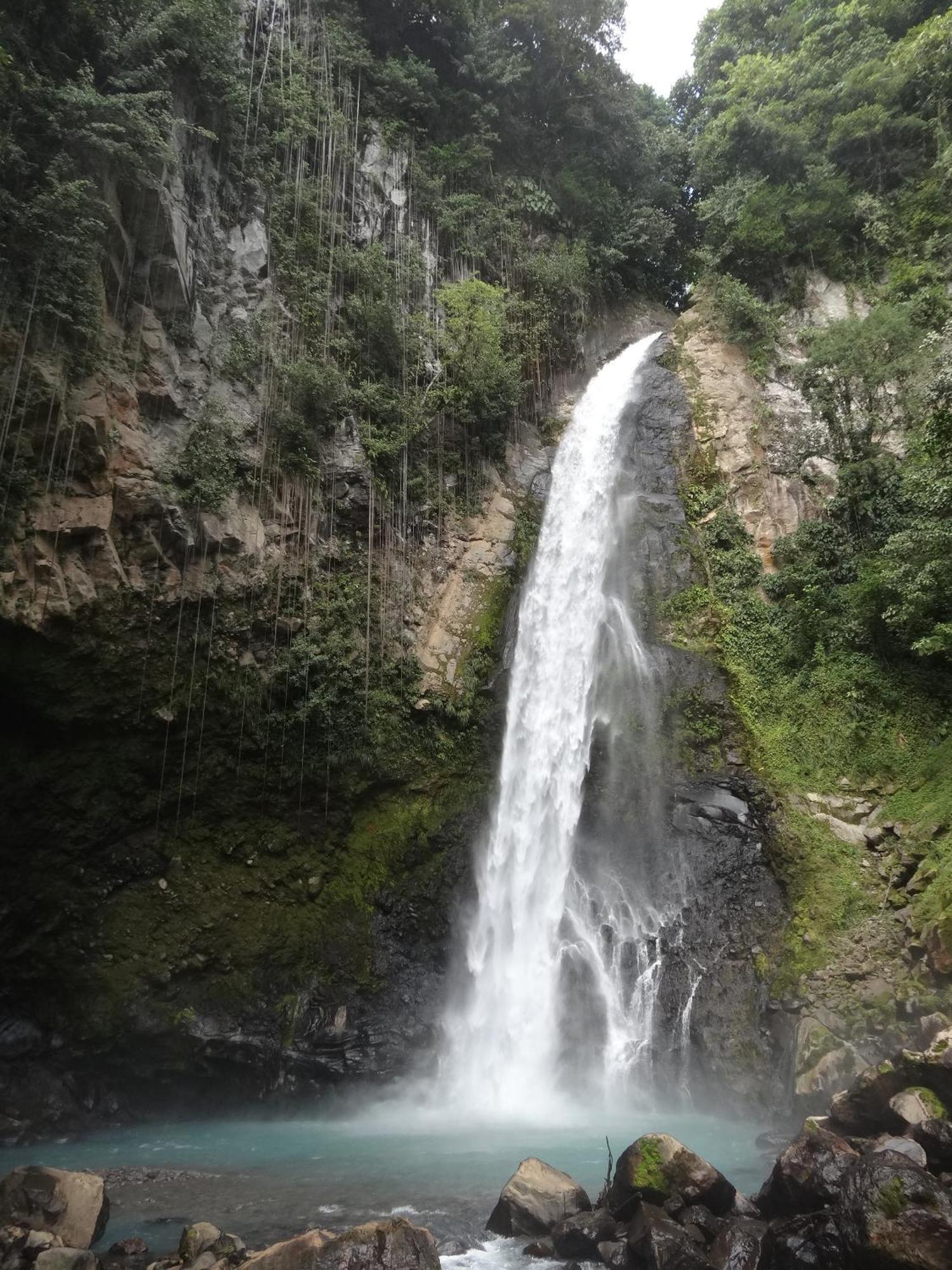 3 Rivers Eco Lodge Rosalie Экстерьер фото