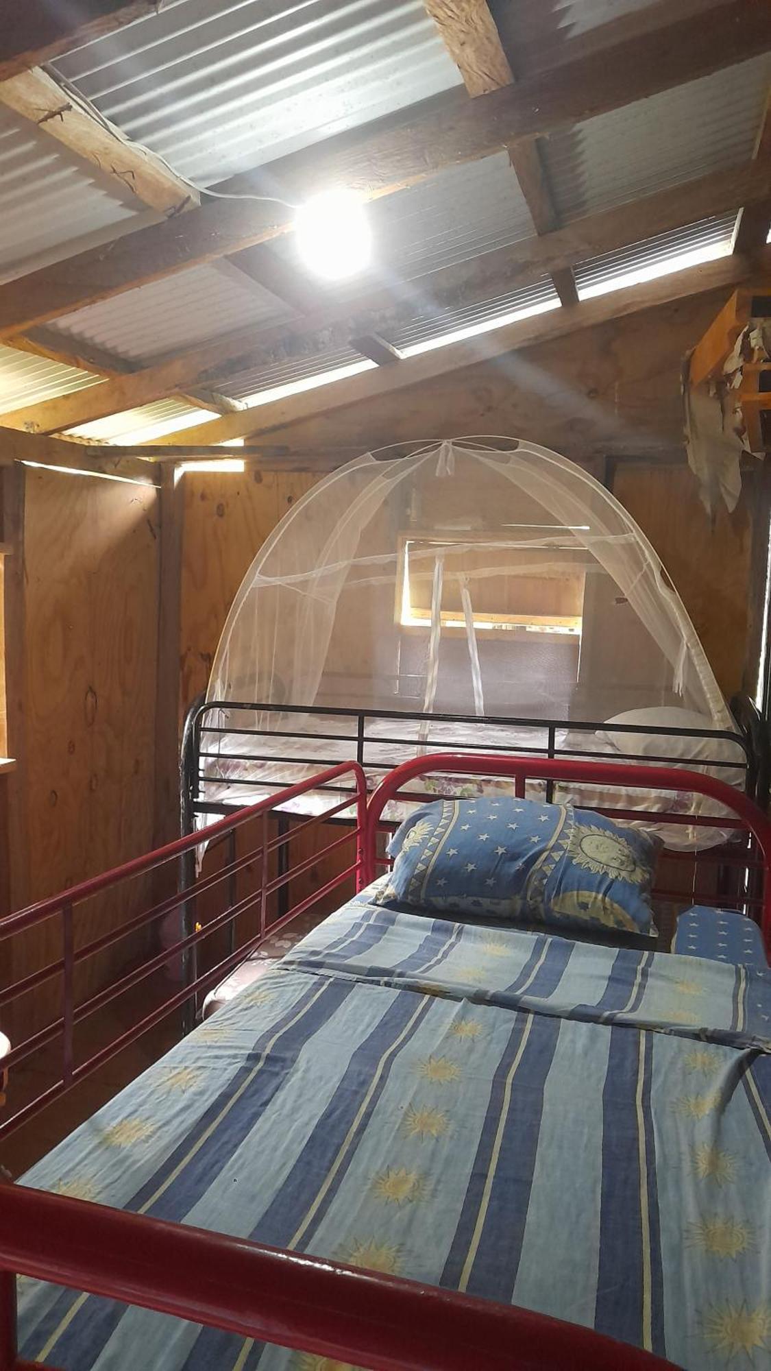 3 Rivers Eco Lodge Rosalie Экстерьер фото