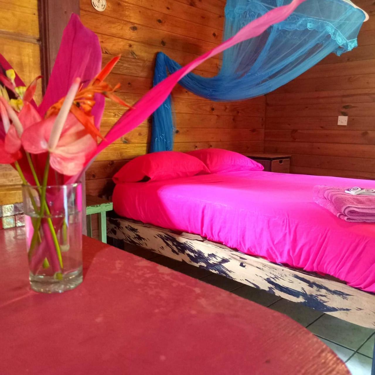 3 Rivers Eco Lodge Rosalie Экстерьер фото