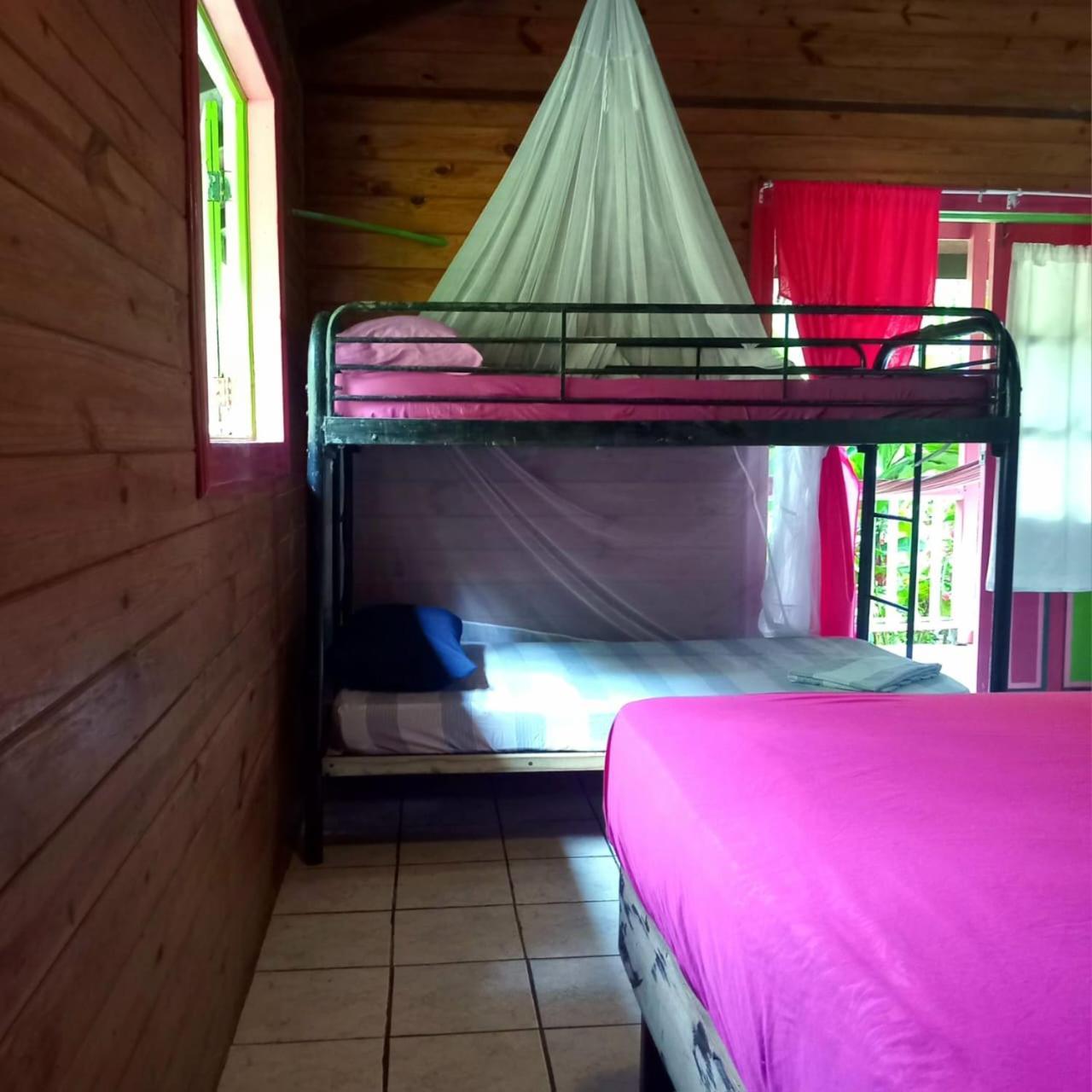 3 Rivers Eco Lodge Rosalie Экстерьер фото